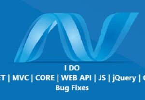 2939I will fix bug on existing web site of dot net core
