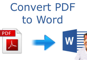 250245I will convert PDF to word